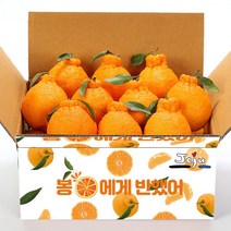 올탑농원 제주직송 당도선별 한라봉4.5Kg중소과(벌크), 1개