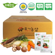 초록한입 유기농 야채수 110ml