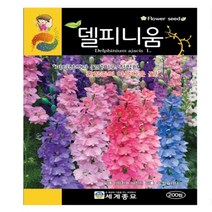 델피니움 씨앗 꽃씨종자(200립) MK273