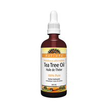홀리스타 티트리오일 100프로 원액 100ml 특대용량