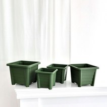 모아이 석상 토분 화분 스노우화이트 대 14x11cm, 쿠팡 아이템온 본상품선택