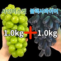 샤인머스켓 망고포도 1kg + 블랙사파이어 가지포도 1kg 내외