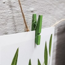 사진걸이집게 100개