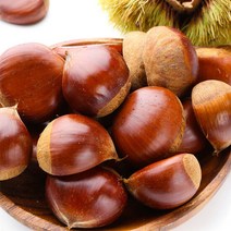 [뜰안애] 충남부여 햇 알밤 5kg(대), 단품