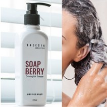 솝베리 약산성 샴푸 염색머리전용 천연 아미노산 식물성 저자극 샴푸 220ml 1+1, 솝베리샴푸2개