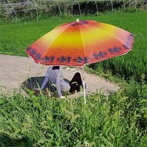 [달라몰] 러브옥스 심플 비치 파라솔 / 간편설치 낚시, 옐로우비치