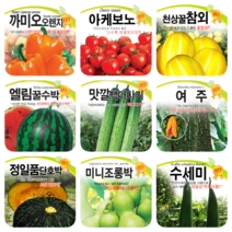 복덩이복수박 10립 / 수박씨앗 수박씨 주말농장 베란다텃밭