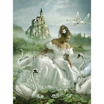 보석십자수 달밤 발레리나와 백조 함께 춤을 추는 유화감 아트그림 발레 댄서 집콕취미 집에서 하는 다이어몬드그림 수제공예 큐빅 구슬 비즈 diy키트 14종, 발레리나와 백조 십자수도안12, 70*90CM