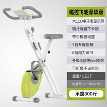 미니 실내 자전거 사이클 유산소 스피닝 미니 쇼파 운동 기구 재활 바이크 싸이클 헬스 좌식, 국산 녹색 마그네트론 무정음 등받이 없음