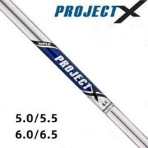 골프 클럽 셋트 Honma TW747P 아이언 세트 단조 장거리 하이 컨트롤 스틸 샤프트 RS 플렉스, PROJECT X 5.5