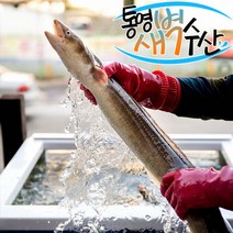 통영 자연산 손질 바다장어 1kg(1~2미)비교불가 사이즈, 장어 1kg, 특중, 제거, 1개