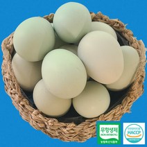 무항생제 청계 유정란 동물복지 HACCP 인증 친환경 유기농 청란 청계알 청계란 달걀 백화점납품 고급 계란 특란사이즈 60구 당일산란 당일배송, 무항생제 유기농 해썹 청계란 유정란 40구+20구