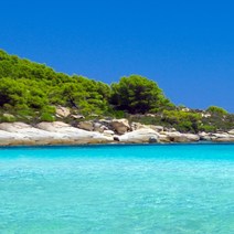 미르토 ( A Type ) 캔들 디퓨저 석고 diy 만들기 향 오일, 50ml