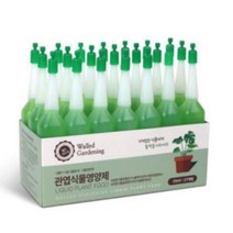 월드가드닝 관엽식물 영양제 앰플, 42개