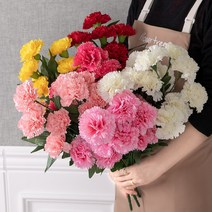 위칭카네이션부쉬A 50cm 조화 꽃 인테리어 장식 소품 어버이날 FAIAFT, 뷰티