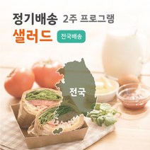 샐러드유 샐러드 다이어트 식단 도시락 정기 배송 구독 배달 - 2주 프로그램, 주 2회(총 8팩), 화금