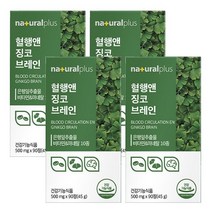 징코 브레인 은행잎 추출물 GINKGO 플라보놀배당체 36mg 기억력개선 혈행개선 도움 비타민 아미노산 함유, 90정, 4개