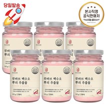 경성건강원 루바브 백수오 뿌리 추출물 치커리 분말 110g, 6통