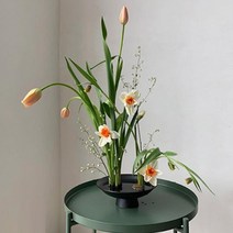 투명 침봉 꽃꽂이 화분 흡착 붙이는 침봉 동양 화병, 상품선택, 원형