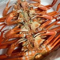 독도 깊은 바다 조업 싱싱한 홍게 6kg 자숙 대게요리, 일반형 (수율 70%)