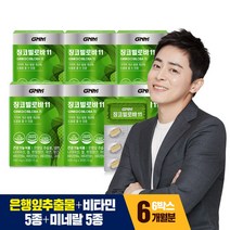 GNM자연의품격 징코 빌로바11 30정, 6개