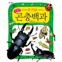우리아이 호기심을 키워주는 생생한 곤충백과 (양장)-어린이 과학 백과02, 글송이
