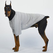 럭키페터 무지 강아지 옷 소형견 대형견 티셔츠, 그레이