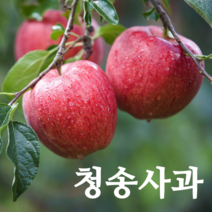청송 사과 부사 농부네 부부농장 꿀 사과 산지직송, 1박스, 14.갈아서먹는 쥬스용사과 10kg (반품불가상품)