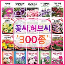 꽃씨 꽃씨몰 300종 허브씨 씨앗 다년생 노지월동 야생화 꽃씨앗 봄 제라늄 다알리아 작약, 128. 캘리포니아 양귀비 퍼플 100립