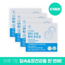 덴티 구강 특허 유산균 잇몸 입냄새 구취 제거 자일리톨 함유 120g 2개월분, 4박스, 60정