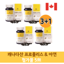 캐나다 직수입 프로폴리스 아연 플로폴리스 입안이헐었을때 폴라보노이드 폴리폴리스 영양제 1000mg, 12개월분(360캡슐)