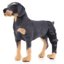 비바펫 강아지 슬개골 보호대 탈구 다리 관절, S(오른쪽 뒷다리)