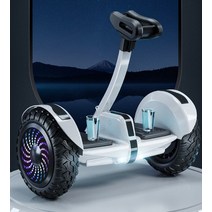 세그웨이 이륜 2륜 전동 보드 균형 나인봇 블랙 경량, M 54V 플래그십 오프로드 화이트  5 컨트롤 / 방, 54v