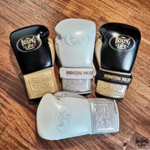 복싱글러브 복싱 NoBoxingNoLife 훈련 무에타이 격투기 권투 장갑 MMA UFC, A