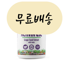 파라다이스 허브 액티빈 GSE (포도씨 추출물) 위드 암라 90베지정, 1개, 90정, 90개