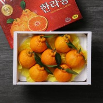 [빛과나무] 자연속 빛가득 제주한라봉세트 3kg(6-8입/특품), 상세 설명 참조
