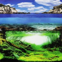 자연과사람 양면 백스크린 (바다섬+수초)