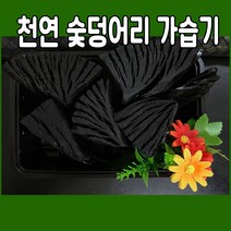 천연 숯덩어리 가습기 (숯가습기 공기정화 제습제 참숯 백탄