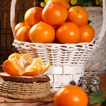 [23년 추석선물세트] 올탑농원 과즙팡팡 황금향 제주직송 2.5kg / 4.5kg (가방포함), 황금향 선물용 중소과 2.5kg(14~16수)