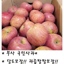 맛 보장!! 과즙팡팡 보장!! 산지직송 고당도 청송 부사 사과 3kg/5kg/10kg, 5kg(중소과)_20~25개