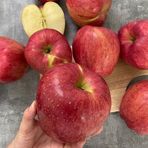 가정용 세척사과 흠집사과 안동햇사과 홍로 꼬마과 소과 중과 중대과 쥬스용 2kg 3kg 5kg 10kg, 가정용[홍로]꼬마과(48-51과)10kg, 1개