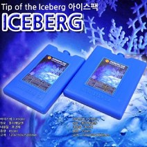 아이스박스용 보냉팩 플라스틱 아이스팩 450ml 아이스백 수산물 무지 중