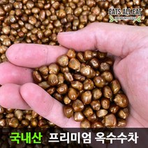 이츠올릿 무농약 국산 옥수수차 500g 한국 전통차 옥수수 수염 티백, 옥수수차 원물 250gx2개