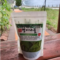 울릉도 특산품 자연산/울릉도산 명이나물장아찌 1kg 산마늘 절임 눈개승마장아찌 1kg 삼나물, 울릉도 눈개승마장아찌1kg