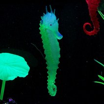 해파리키우기 인공 수족관 해마 장식 물고기 탱크 해파리, [03] Green, [01] M