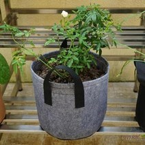 블루베리 키우기 부직포화분 베란다 옥상 40x30 플랜트박스 대파 텃밭 화분, 상세페이지 참조3, 3화분10갤런-브라운