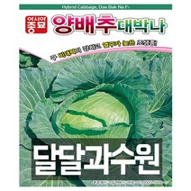 아시아종묘 양배추 대박나 씨앗종자 양배추씨, 2500개