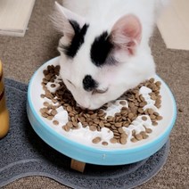 슬로우캣 도자기 슬로우식기 강아지 고양이 급체방지식기 애견 밥그릇, 핑크색 (그릇+테이블SET)