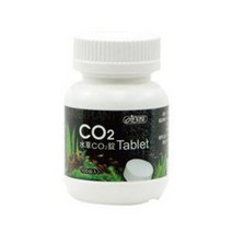 이스타 CO2발생 타블렛정, 1000개