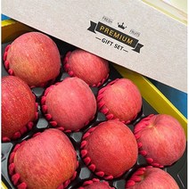 [한주네 청송 사과] 선물용 프리미엄 청송 부사 사과 세트 5kg, 1박스(9~10과 4~5kg 프리미엄)